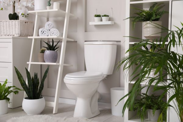 Cost of Toilet Repair in Fairfield